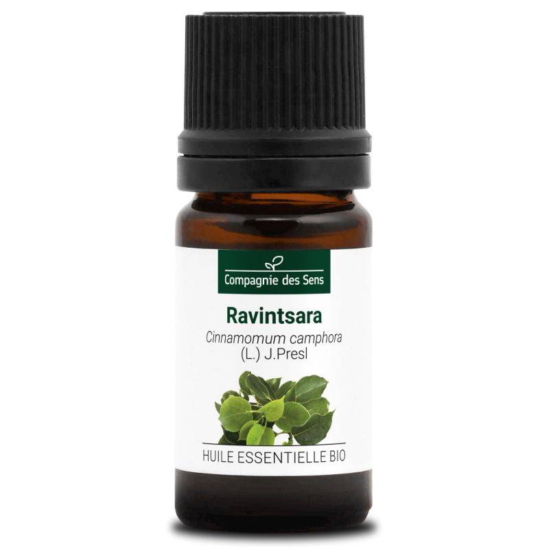 RAVINTSARA