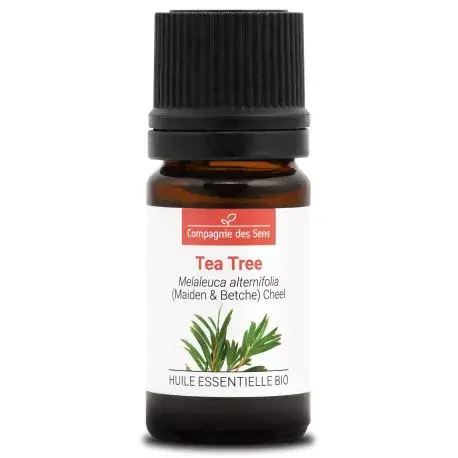 tea-tree-huile-essentielle-bio
