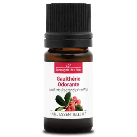 gaultherie-odorante-huile-essentielle-bio