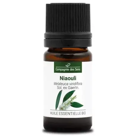 niaouli-huile-essentielle-bio