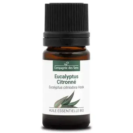 eucalyptus-citronne-huile-essentielle-bio