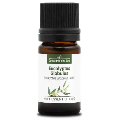 eucalyptus-globulus-huile-essentielle-bio