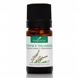 thym-a-thujanol-huile-essentielle-bio